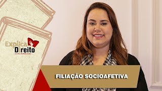 Explica Direito Filiação Socioafetiva  2019 [upl. by Hernando]