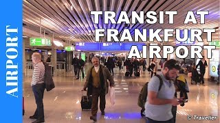 TRANSIT WALK AT FRANKFURT Airport FRA Terminal 1  Connection Flight Transfer Arriving amp Departing [upl. by Nasas]